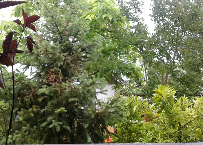 Lantställe Valdexpacio